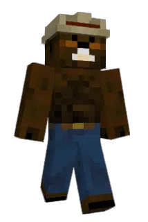 Ellyy Minecraft avatar full body