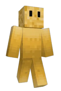 ElsGoogleplex Minecraft avatar full body