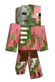 Emii_koala Minecraft avatar full body