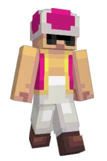 EmilW09 Minecraft avatar full body