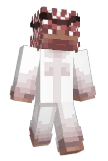 Emilboy1337 Minecraft avatar full body