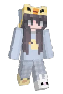 Emilywangg Minecraft avatar full body