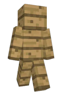 EnchantedTen Minecraft avatar full body