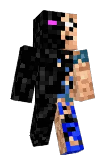 End_Hero Minecraft avatar full body