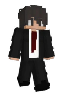 Ender2545 Minecraft avatar full body