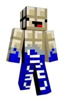 EnderBoss7 Minecraft avatar full body