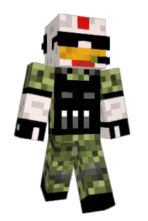 EnderChickenWing Minecraft avatar full body