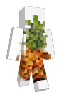 EnderN8J Minecraft avatar full body