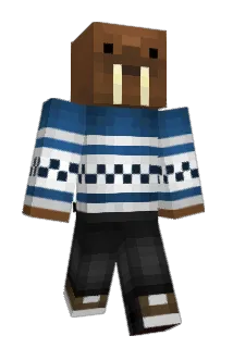 EnderSpecial Minecraft avatar full body
