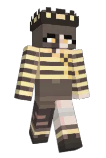 Ender_Beez Minecraft avatar full body