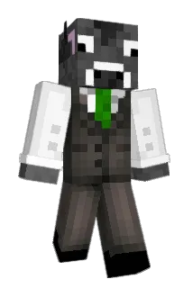 Endergry Minecraft avatar full body