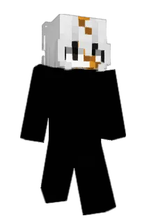 Endertrusca Minecraft avatar full body