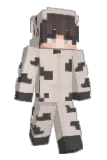 EndirR Minecraft avatar full body