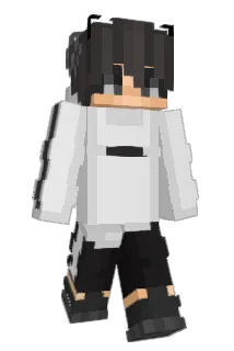 EndlessSkillz Minecraft avatar full body
