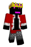EndrDragn69 Minecraft avatar full body