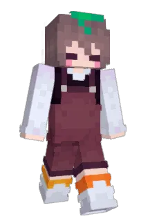 Enduned Minecraft avatar full body