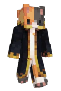 EnergeticCat Minecraft avatar full body