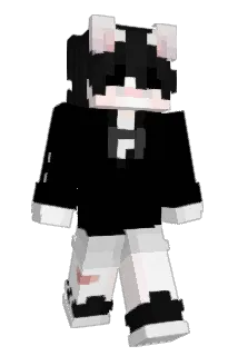 Engreidoo Minecraft avatar full body