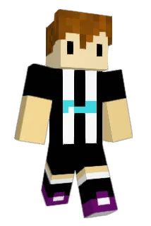 EnigmaRW Minecraft avatar full body