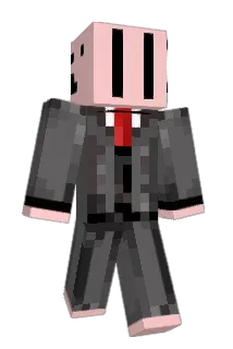 EnjoyHyoja183 Minecraft avatar full body