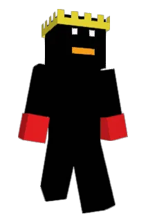 Enjoyed04 Minecraft avatar full body