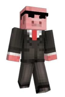 Enlarged_PP Minecraft avatar full body