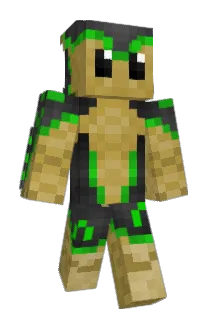 EnriDraws Minecraft avatar full body