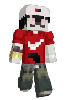 Ensona Minecraft avatar full body