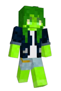 Enter_Craft Minecraft avatar full body