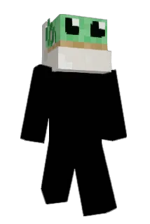 Enterreal Minecraft avatar full body