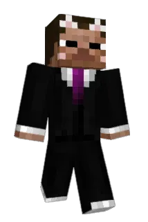 Entity821 Minecraft avatar full body
