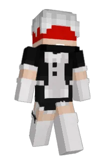 Entity_F Minecraft avatar full body