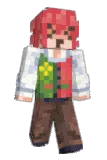 Envizix Minecraft avatar full body