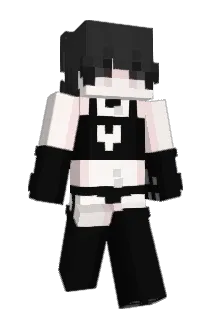 Eoaocd Minecraft avatar full body