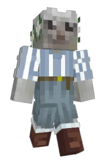 EpicRobinQuest Minecraft avatar full body
