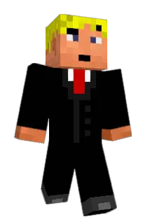 Erbseneintopf Minecraft avatar full body