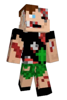 Erdna_log Minecraft avatar full body