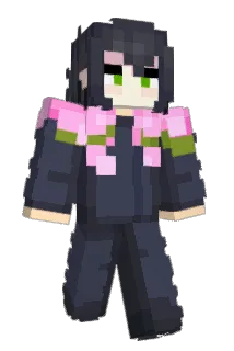 Erfio Minecraft avatar full body