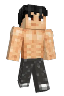 Erloy Minecraft avatar full body