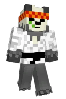 Ermite_8_Bit Minecraft avatar full body