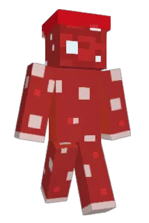 Erngi27 Minecraft avatar full body