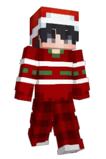 Erregter Minecraft avatar full body