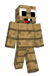 Error01 Minecraft avatar full body