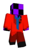 Error806 Minecraft avatar full body