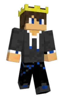 Ertinacx Minecraft avatar full body