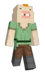 Custom render preview