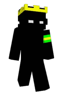 Escanear Minecraft avatar full body