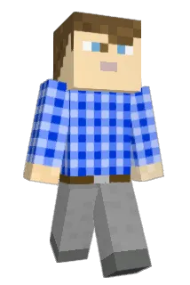 Essaim Minecraft avatar full body