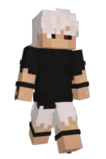 Estodi Minecraft avatar full body