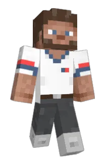 Estornino Minecraft avatar full body